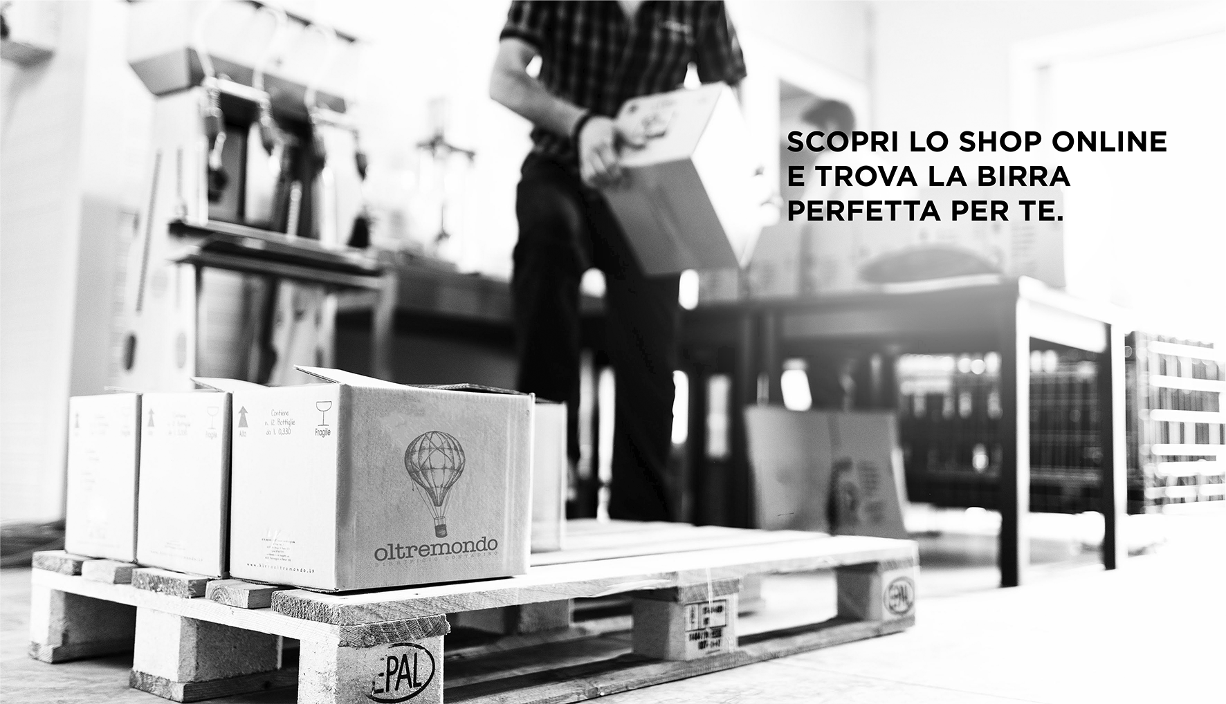 Immagine 5